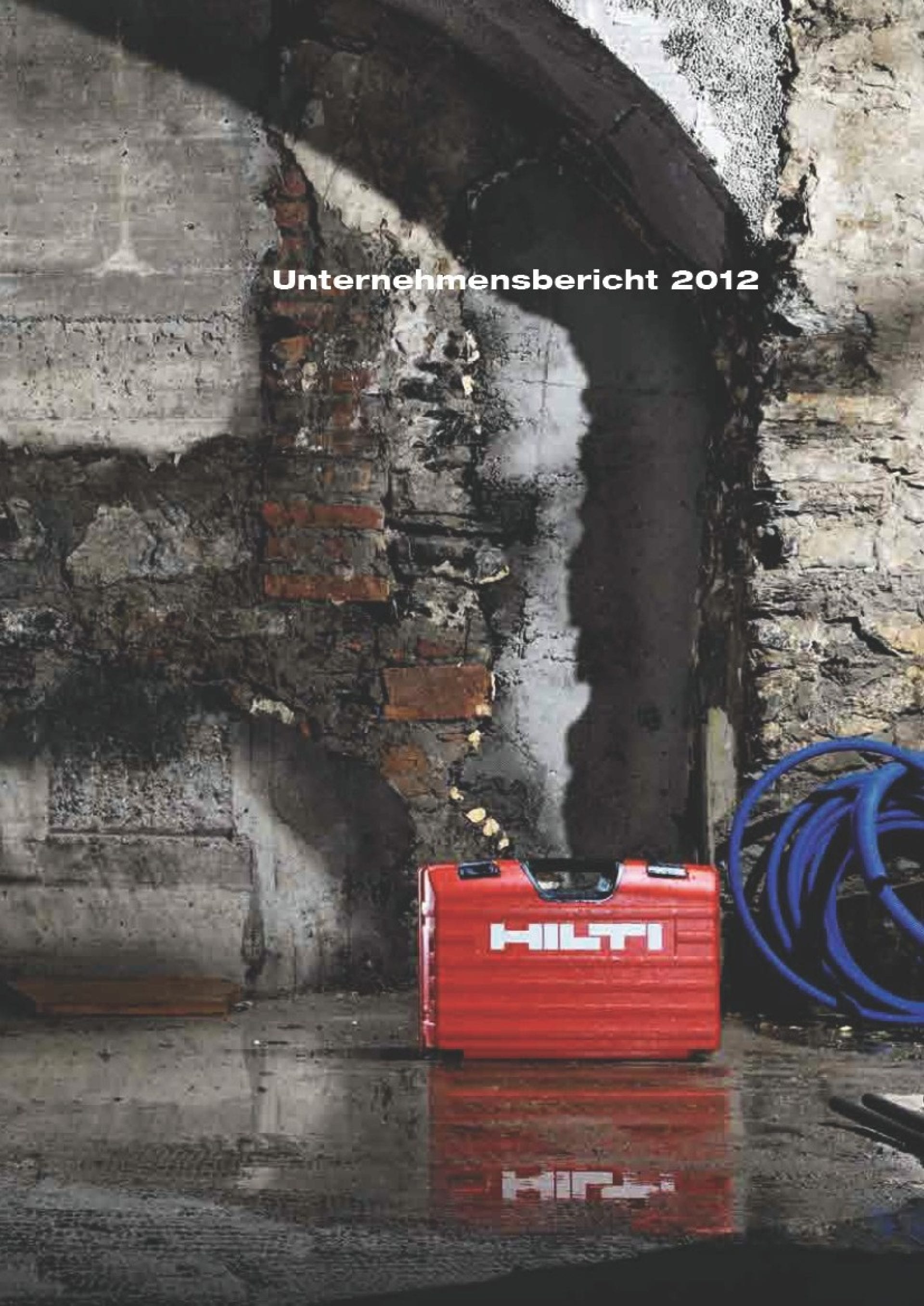 Unternehmensbericht 2012